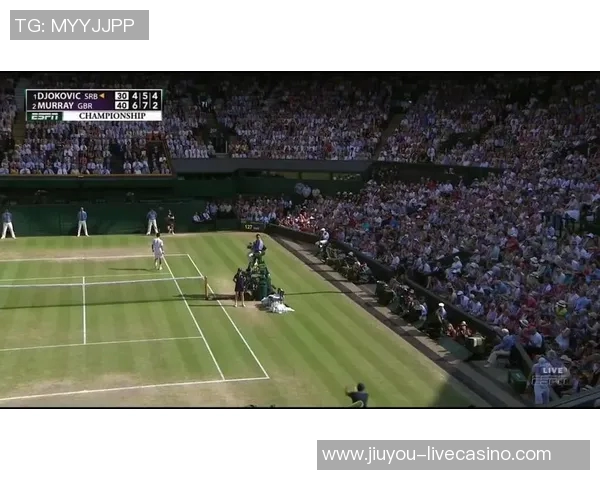 穆雷与安德森在温网的激烈对决回顾与精彩瞬间分析 穆雷与安德森在温网的激烈对决回顾与精彩瞬间分析