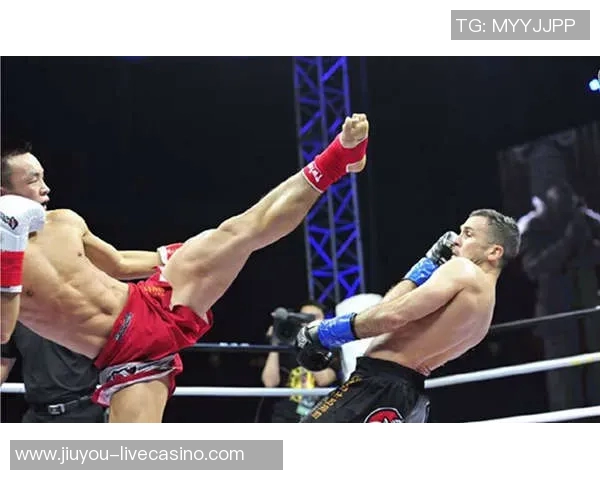 伯比克与阿里巅峰对决谁能在拳坛称霸荣耀之路 伯比克与阿里巅峰对决谁能在拳坛称霸荣耀之路